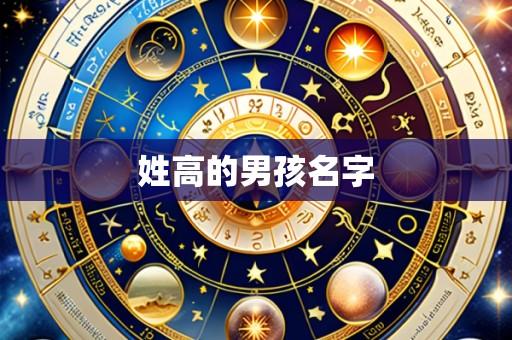 姓高的男孩名字