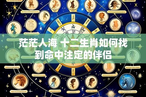 茫茫人海 十二生肖如何找到命中注定的伴侣