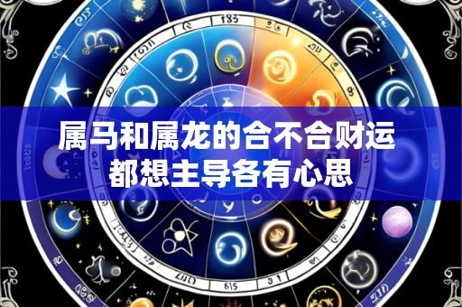 属马和属龙的合不合财运 都想主导各有心思