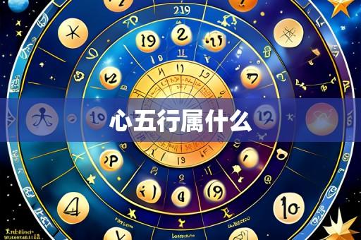 心五行属什么