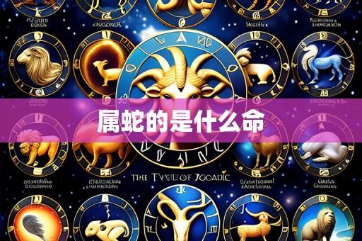 属蛇的是什么命