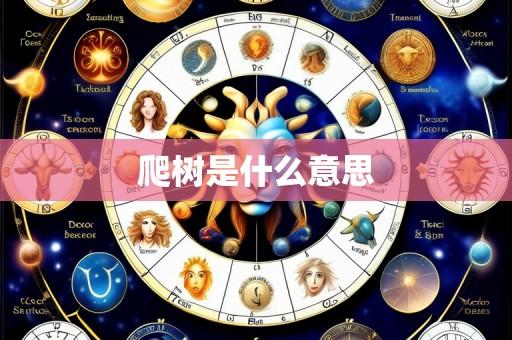 爬树是什么意思