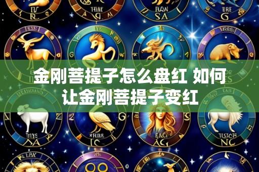 金刚菩提子怎么盘红 如何让金刚菩提子变红