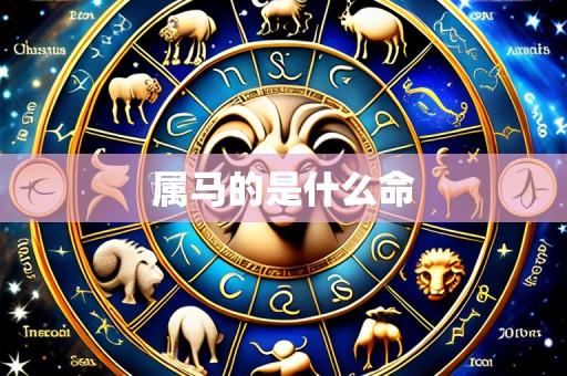 属马的是什么命