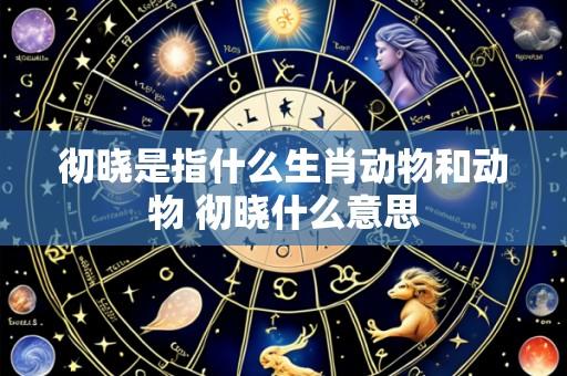 彻晓是指什么生肖动物和动物 彻晓什么意思