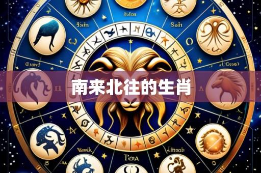 南来北往的生肖