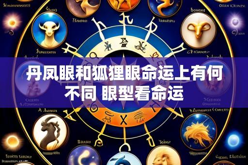 丹凤眼和狐狸眼命运上有何不同 眼型看命运