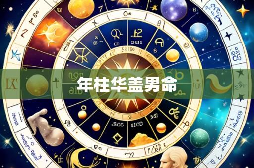 年柱华盖男命