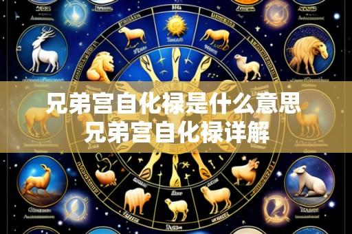 兄弟宫自化禄是什么意思 兄弟宫自化禄详解