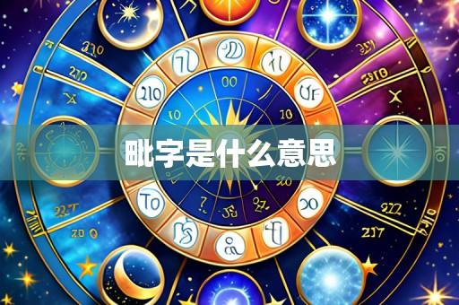 毗字是什么意思