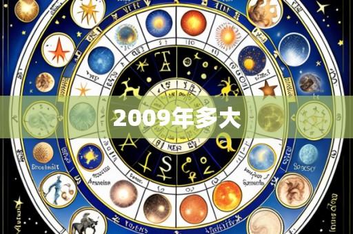 2009年多大