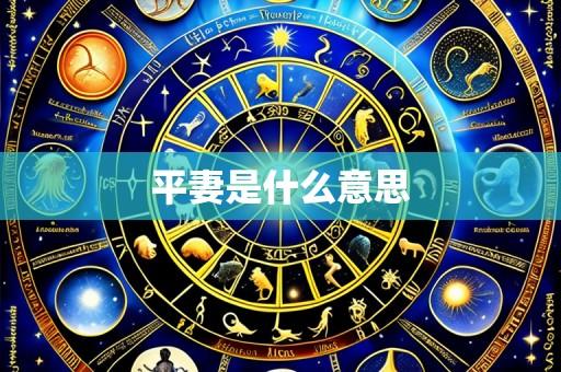平妻是什么意思