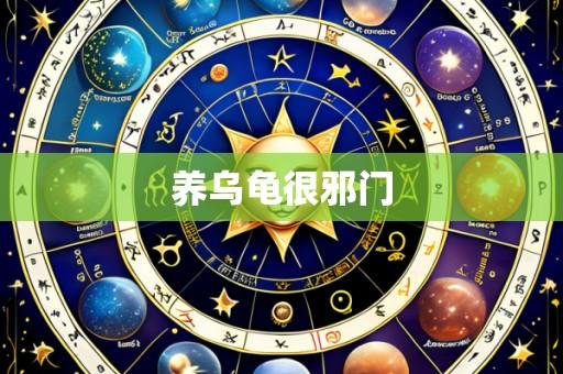 养乌龟很邪门