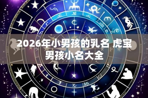 2026年小男孩的乳名 虎宝男孩小名大全