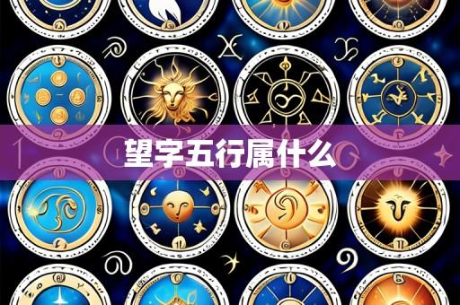 望字五行属什么