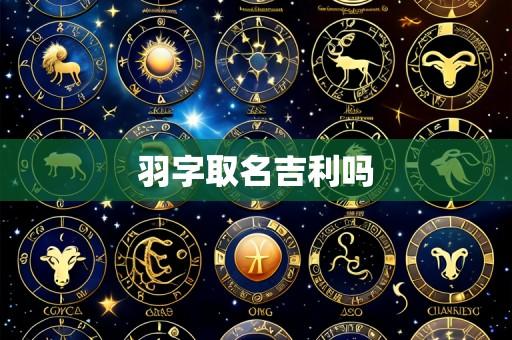 羽字取名吉利吗