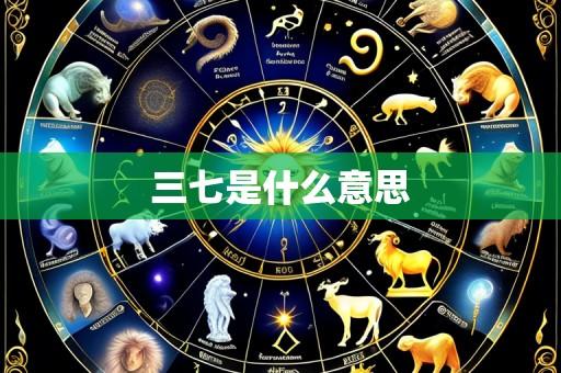 三七是什么意思