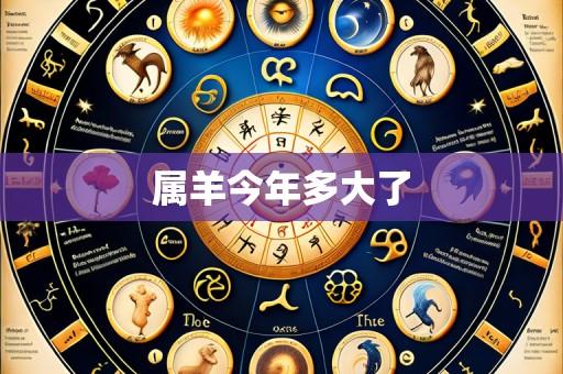 属羊今年多大了