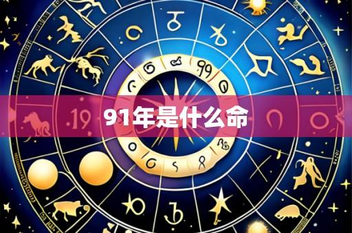 91年是什么命