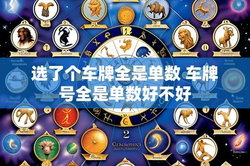 选了个车牌全是单数 车牌号全是单数好不好