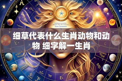 细草代表什么生肖动物和动物 细字解一生肖