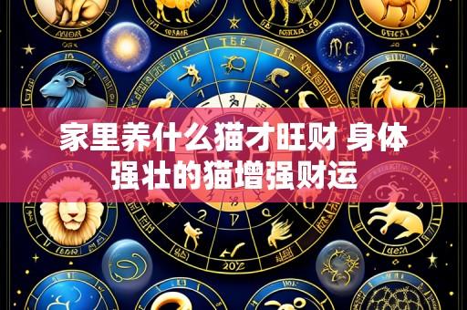 家里养什么猫才旺财 身体强壮的猫增强财运