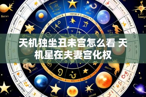 天机独坐丑未宫怎么看 天机星在夫妻宫化权