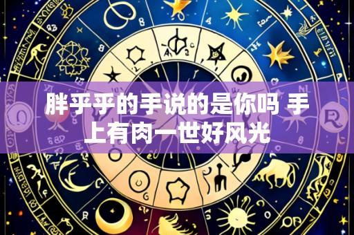 胖乎乎的手说的是你吗 手上有肉一世好风光