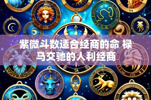 紫微斗数适合经商的命 禄马交驰的人利经商