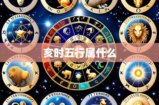 亥时五行属什么