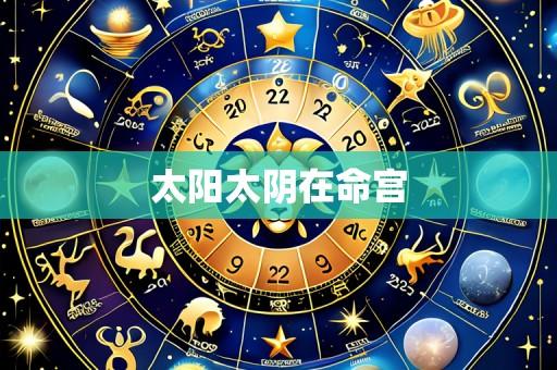 太阳太阴在命宫