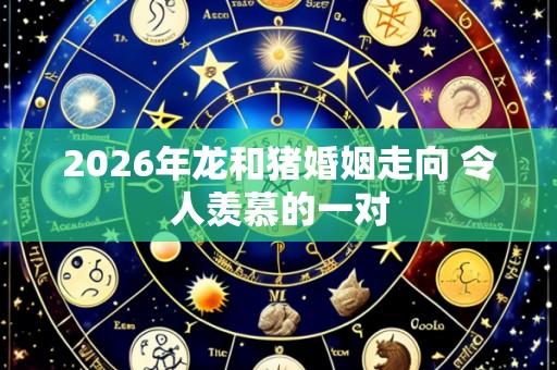 2026年龙和猪婚姻走向 令人羡慕的一对