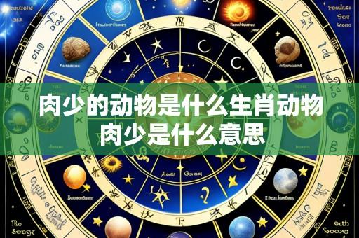肉少的动物是什么生肖动物 肉少是什么意思