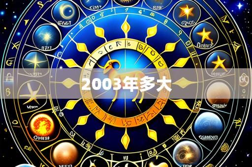 2003年多大