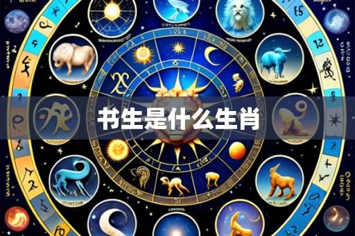 书生是什么生肖