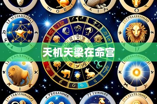 天机天梁在命宫