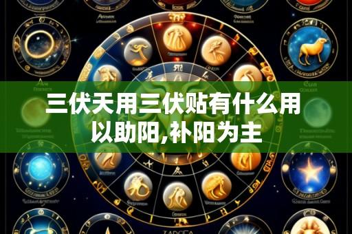 三伏天用三伏贴有什么用 以助阳,补阳为主