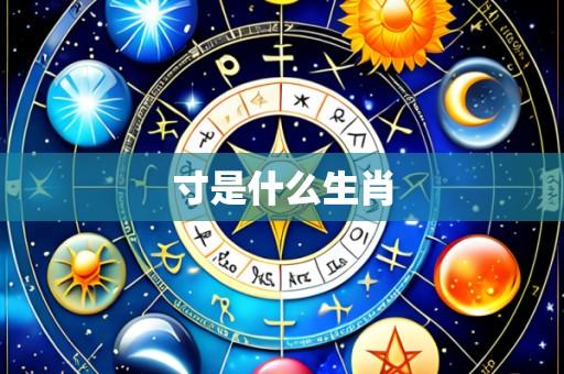 寸是什么生肖