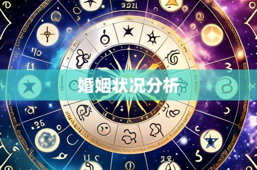 婚姻状况分析