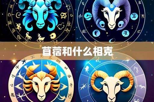 苜蓿和什么相克