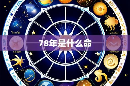 78年是什么命