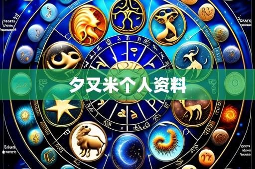 夕又米个人资料