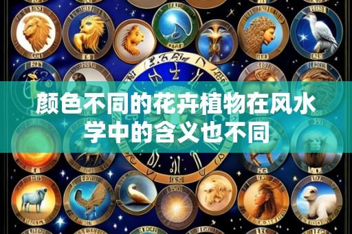 颜色不同的花卉植物在风水学中的含义也不同