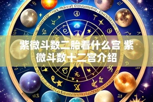 紫微斗数二胎看什么宫 紫微斗数十二宫介绍