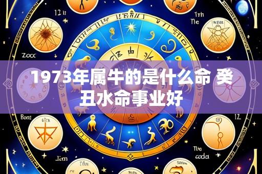 1973年属牛的是什么命 癸丑水命事业好