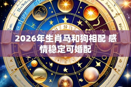 2026年生肖马和狗相配 感情稳定可婚配