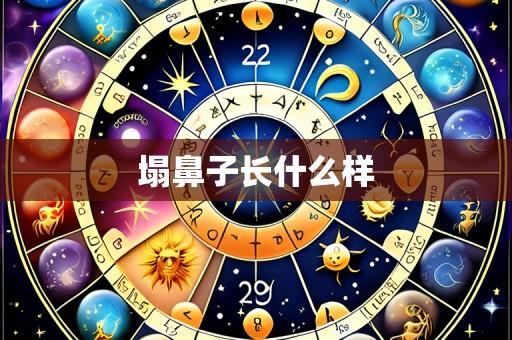 塌鼻子长什么样