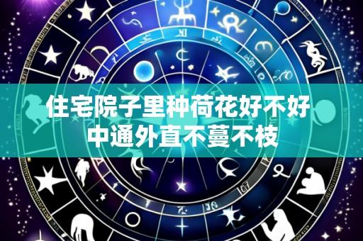 住宅院子里种荷花好不好 中通外直不蔓不枝