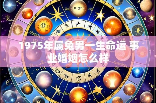 1975年属兔男一生命运 事业婚姻怎么样