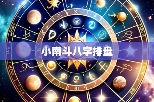 小南斗八字排盘